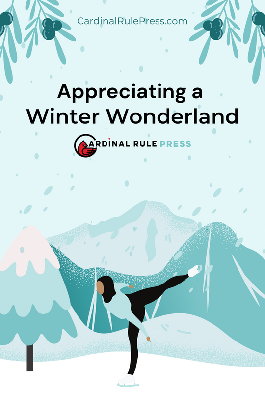 Appreciating a Winter Wonderland