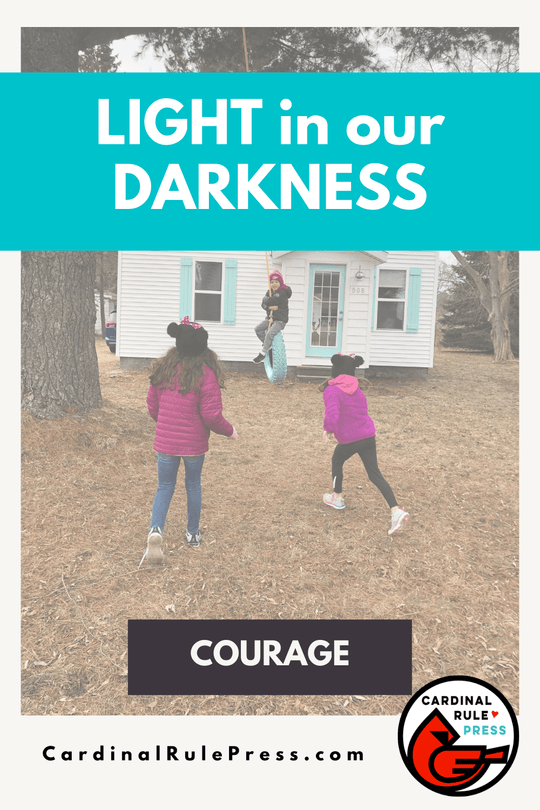 There have been so many ups and downs in our world over the last few years, I wanted to spread some LIGHT, since darkness continues to find its way into our world. #LightInOurDarkness #BooksToRead #Courage #PromoCode