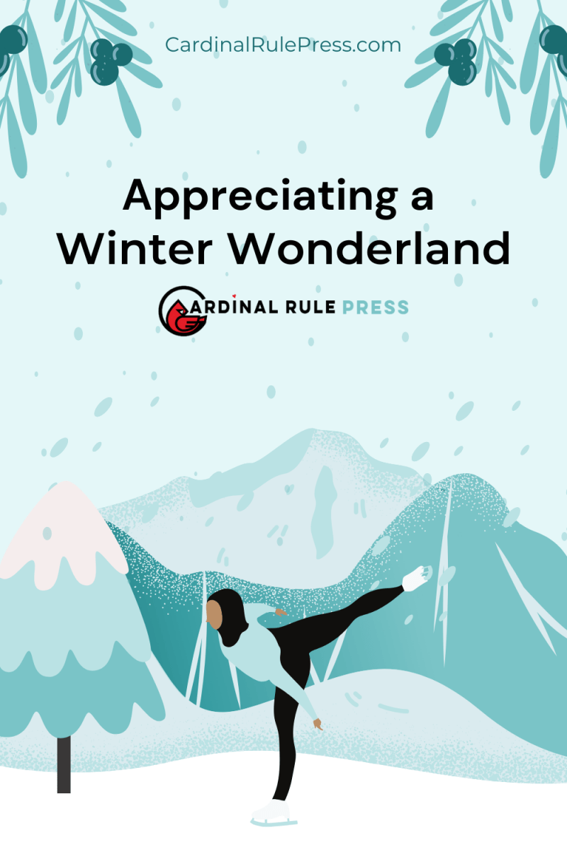 Appreciating a Winter Wonderland – Cardinal Rule Press