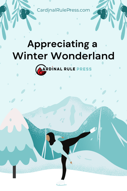 Appreciating a Winter Wonderland - Cardinal Rule Press